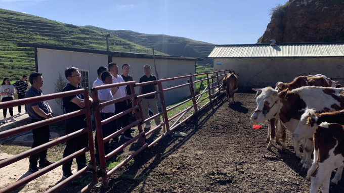 甘肅工程咨詢集團黨委書記、董事長宋忠慶一行赴卓尼縣柳林鎮幫扶村調研慰問